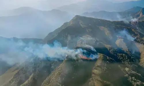 Dzükou Valley Wildfire Enters Eighth Day, Largely Contained Near Mount Tempfü