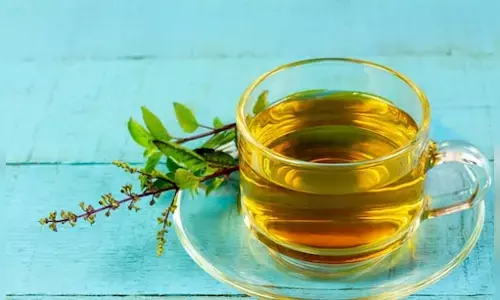 Tulsi Water: Ayurvedas Queen of Medicines for Immunity, Digestion and Mental Health