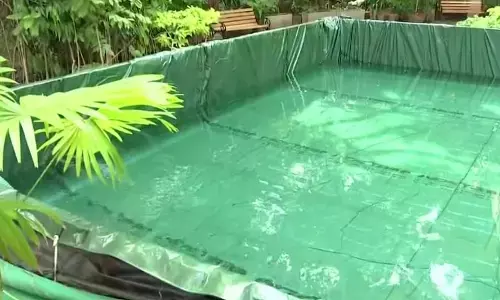 Three-Year-Old Drowns in Artificial Pond at Bengaluru Photo Studio