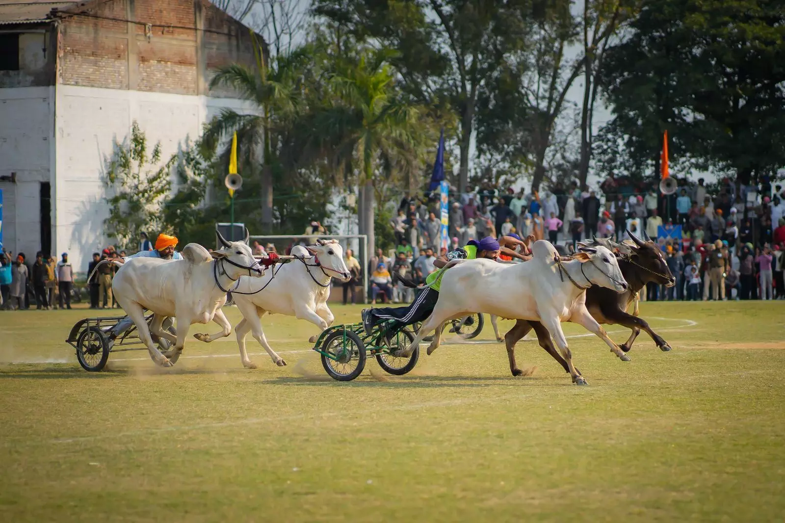 Sports Are Most Lethal Weapon Against Drugs: CM Bhagwant Mann Announces Budget Boost at Kila Raipur Rural Olympics Sports Are Most Lethal Weapon Against Drugs: CM Bhagwant Mann Announces Budget Boost at Kila Raipur Rural Olympics