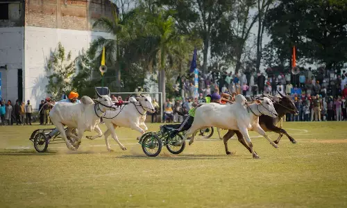 Sports Are Most Lethal Weapon Against Drugs: CM Bhagwant Mann Announces Budget Boost at Kila Raipur Rural Olympics Sports Are Most Lethal Weapon Against Drugs: CM Bhagwant Mann Announces Budget Boost at Kila Raipur Rural Olympics
