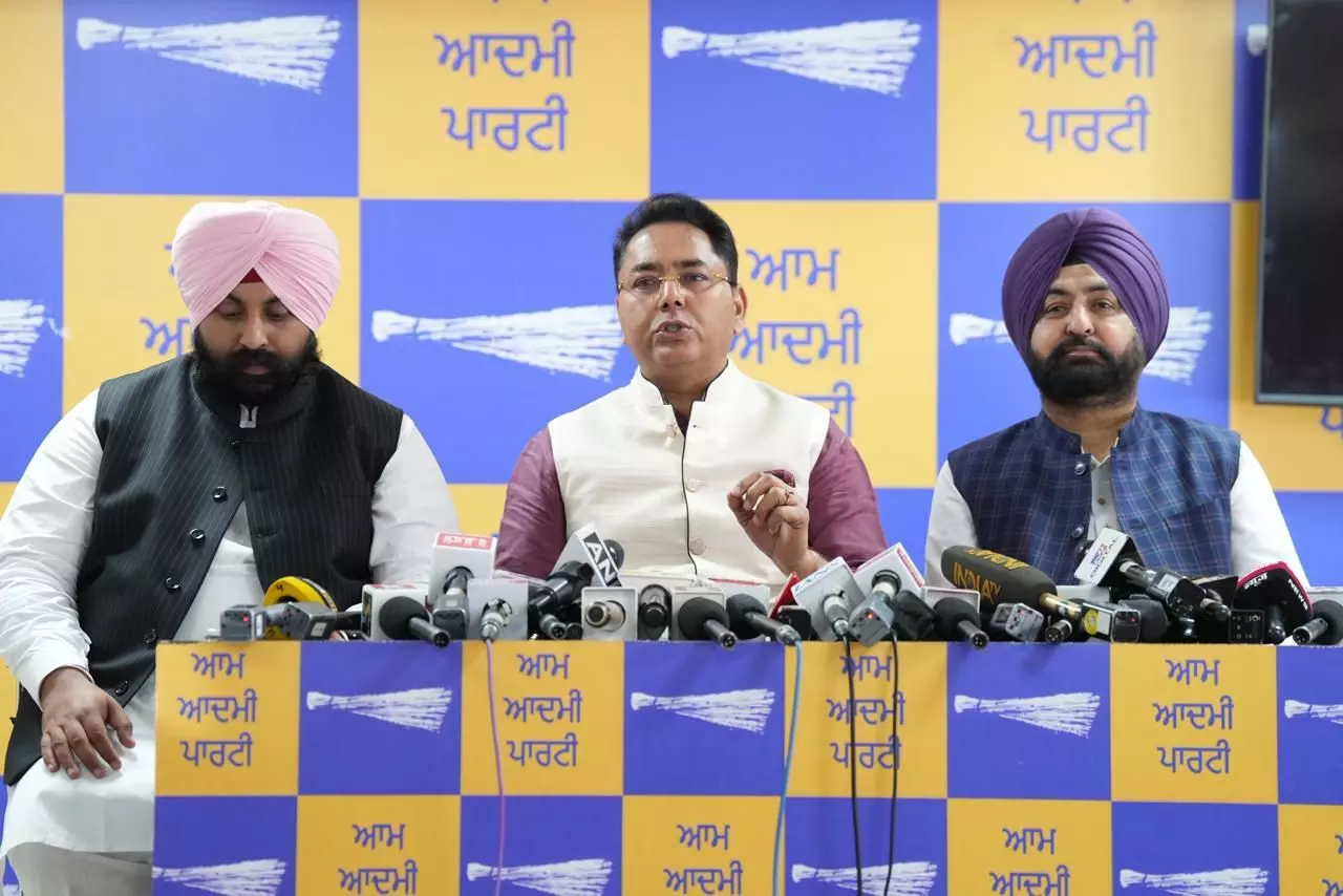 Aman Arora Calls Kejriwal Acquittal ‘Victory of Truth,’ Demands Apology from BJP Leadership Aman Arora Calls Kejriwal Acquittal ‘Victory of Truth,’ Demands Apology from BJP Leadership