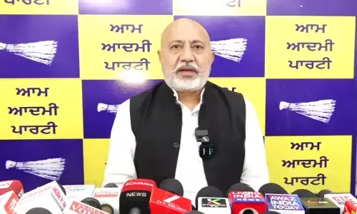 Baltej Singh Pannu Says Court Order Demolishes ‘Fabricated Conspiracy’ Against Arvind Kejriwal