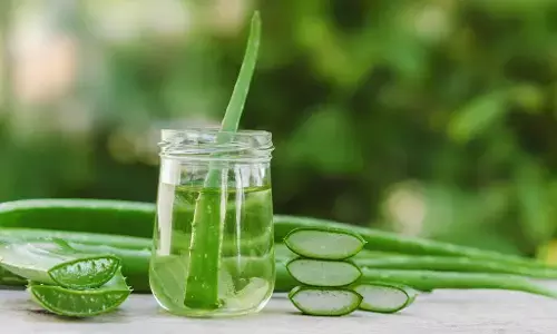 Dry Skin Fix: Why Aloe Vera Gel Should Be Your Nightly Skincare Essential Dry Skin Fix: Why Aloe Vera Gel Should Be Your Nightly Skincare Essential