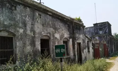 Bihar Plans Revival of Sugar Mills, Moves to Tackle Waterlogging in Sugarcane Fields Bihar Plans Revival of Sugar Mills, Moves to Tackle Waterlogging in Sugarcane Fields