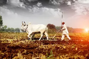 Indias Monsoon Gamble: Why This El Nino Year Demands a Rethink on Farm Risk Indias Monsoon Gamble: Why This El Nino Year Demands a Rethink on Farm Risk