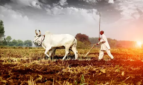Indias Monsoon Gamble: Why This El Nino Year Demands a Rethink on Farm Risk Indias Monsoon Gamble: Why This El Nino Year Demands a Rethink on Farm Risk