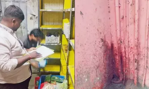 FDA Suspends Blinkit’s Mumbai Store Over Cockroach Infestation FDA Suspends Blinkit’s Mumbai Store Over Cockroach Infestation