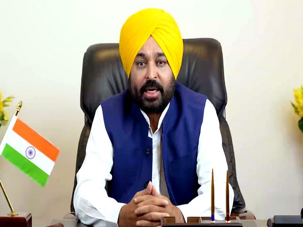 Punjab CM Bhagwant Mann terms Paitala clashes highly deplorable, urges people to maintain law and order