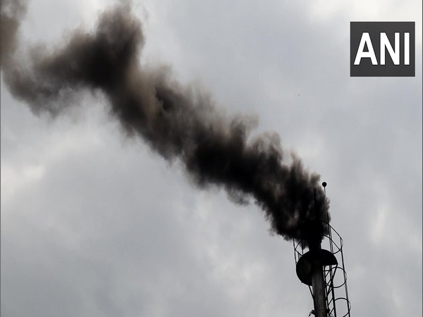 Police destroys cannabis worth over Rs 16 cr in Himachal Pradeshs Kullu