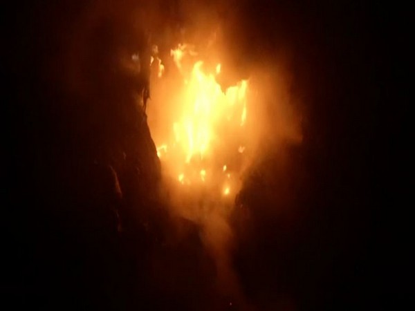 36 hours on, firefighting at Delhis Bhalswa landfill site continues