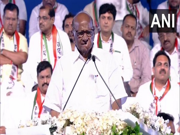 Pawar says theres instability in country; those who have responsibility couldnt fulfill it