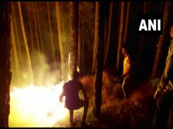 Fire breaks out in forests of Uttarakhands Pithoragarh, Tehri Garhwal