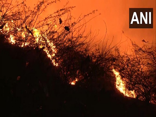 Massive fire at Delhis Bhalswa landfill, 10 fire tenders on spot
