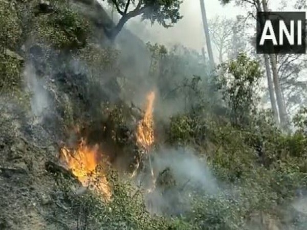 J &amp; K: Forest area in Udhampur under blaze for last 4 days
