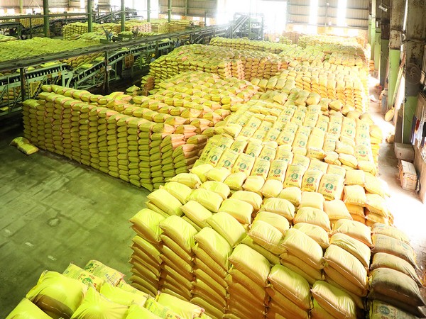 Indias fertiliser subsidy set to touch a record high of Rs 1.65 lakh crore in 2022-23