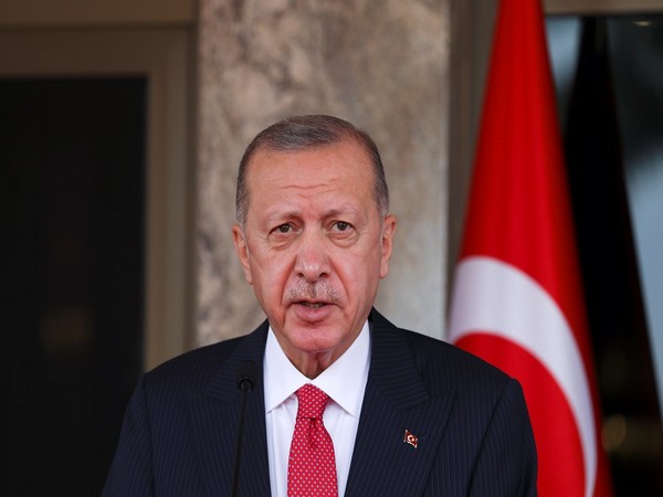 Erdogan urges Sweden, Finland to address Turkeys security concerns
