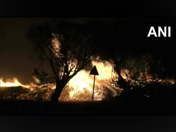 Massive fire at wood depot in Maharashtras Ballarpur