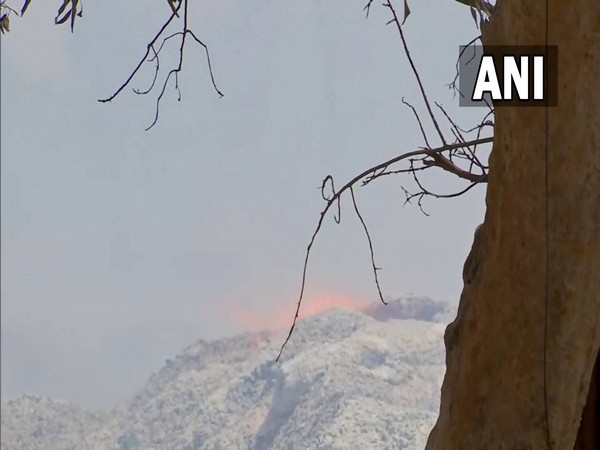 Efforts underway to douse fire at wood depot in Maharashtras Ballarpur