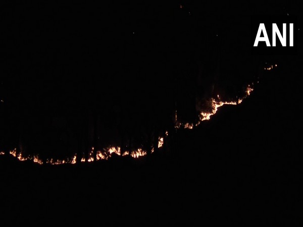 Fire breaks out in Margana forest area in J-Ks Udhampur