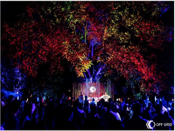 Off-Grid rises to success