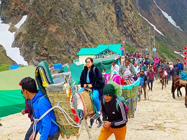 Char Dham Yatra: Environmentalists flag concerns over threat to Uttarakhands exotic herbs