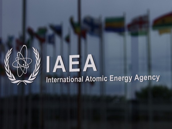 Wildfires near Ukraines Chernobyl plant pose no radioactive threat: IAEA