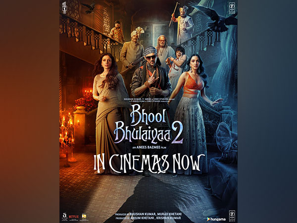 Bhool Bhulaiyaa 2 collects Rs 14 crore on opening day, Kartik Aaryan thanks fans for the love
