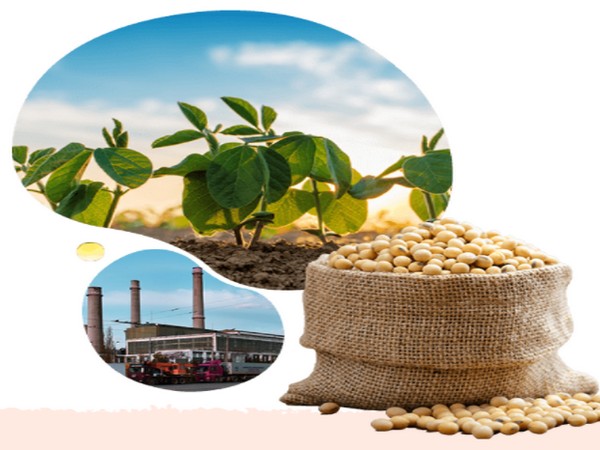 Ruchi Soya Q4 total income rises 37.38 per cent to Rs 6,676.19 crore