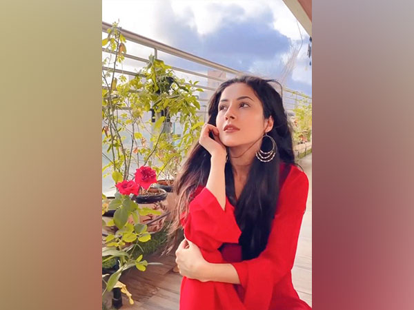 Shehnaaz Gill looks like a fresh breeze as she grooves to Pakistani song Pasoori