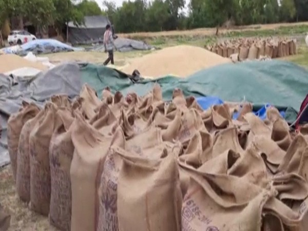 Indias trade delegations to explore wheat export possibilities in several countries