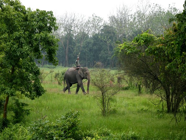 SC says eco-sensitive zone essential in protected forests, national sanctuaries
