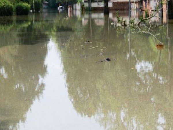 Death toll from heavy rains in Brazils Pernambuco state rises to 107