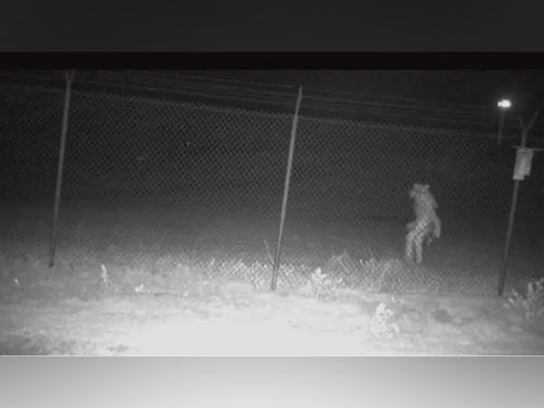 Chupacabra? Texas zoo authorities seek community help in identifying strange creature captured on camera