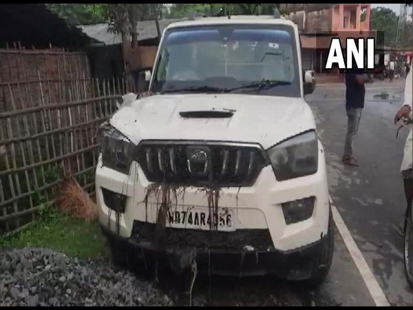 8 killed in Bihars Purnia after vehicle falls into pond