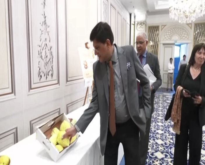 Indian mangoes in Europe: Piyush Goyal inaugurates Mango Festival in Belgium to create awareness