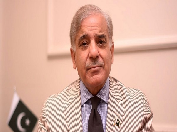 Pak PM Shehbaz Sharif hints at taking difficult decisions amid tough economic situation