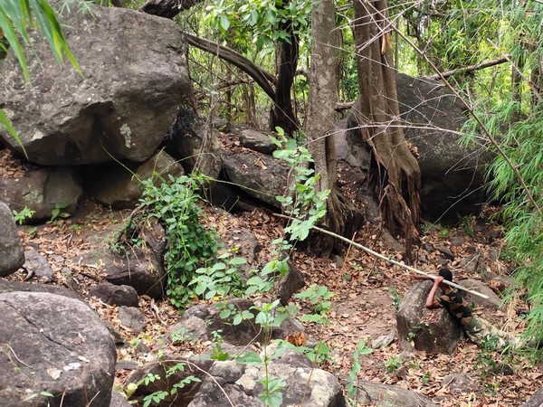 BSF recovers IED in Odishas Malkangiri