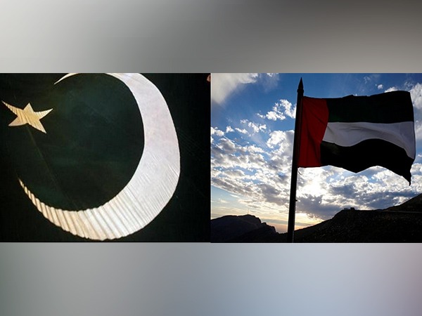 UAE offers to buy minority shares in Pakistans government companies