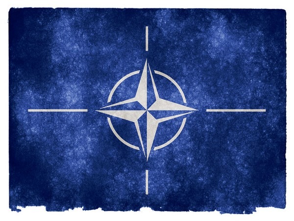 Finland, Sweden might attend Madrid NATO summit as invitees: US ambassador