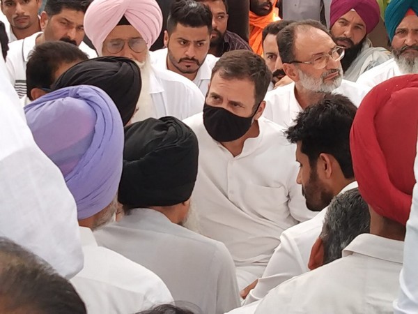 Rahul Gandhi meets Sidhu Moose Walas family in Punjab
