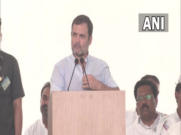 ED and such agencies do not affect me, Congress cant be suppressed: Rahul Gandhi