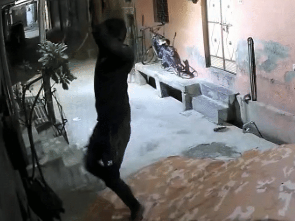 Thief scrambles across walls to rob house, his Spider-Man moves caught on camera