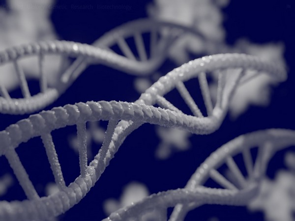 Study: Most silent genetic mutations are harmful