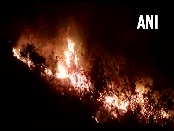 Fire rages in forest area of Uttarakhands Tehri Garhwal