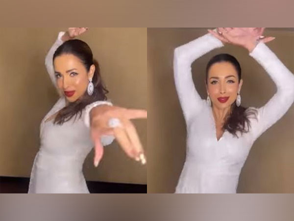 Malaika Arora takes up Dance With Me challenge, leaves fans grooving