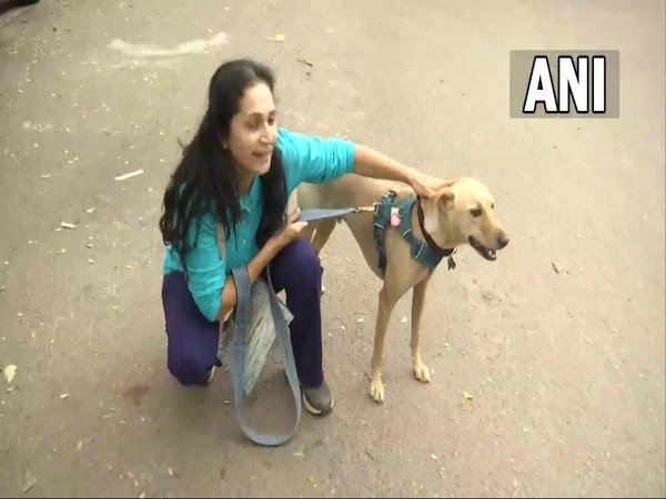 Pet dogs to be banned in Bengalurus Cubbon Park, animal lovers irked