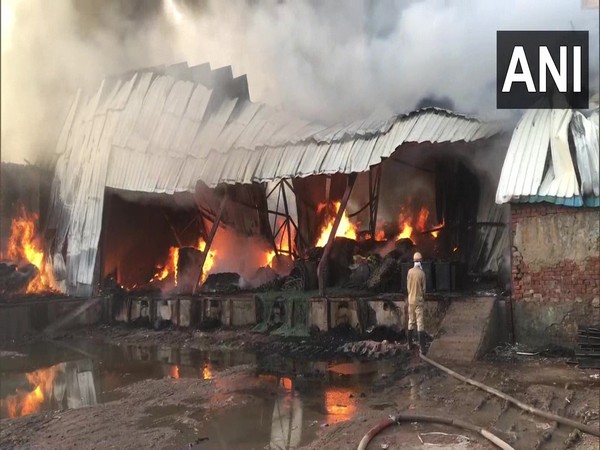 Fire breaks out in godown in UPs Ghaziabad