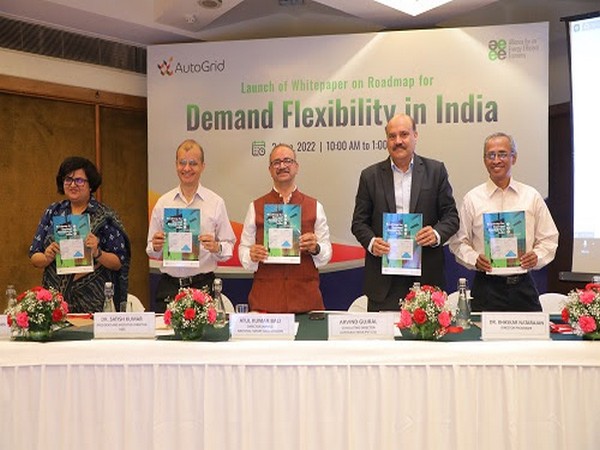 New study from AEEE lays out a Roadmap for Demand Flexibility in India and effective low carbon strategies for DISCOMs to manage peak demand
