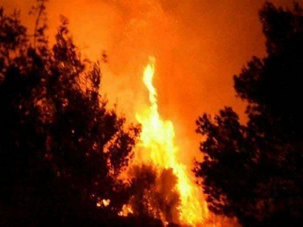 Wildfires in SW France force 6,000 campers to evacuate